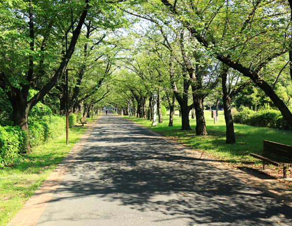 辰巳の森緑道公園